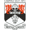 Caerau Ely AFC